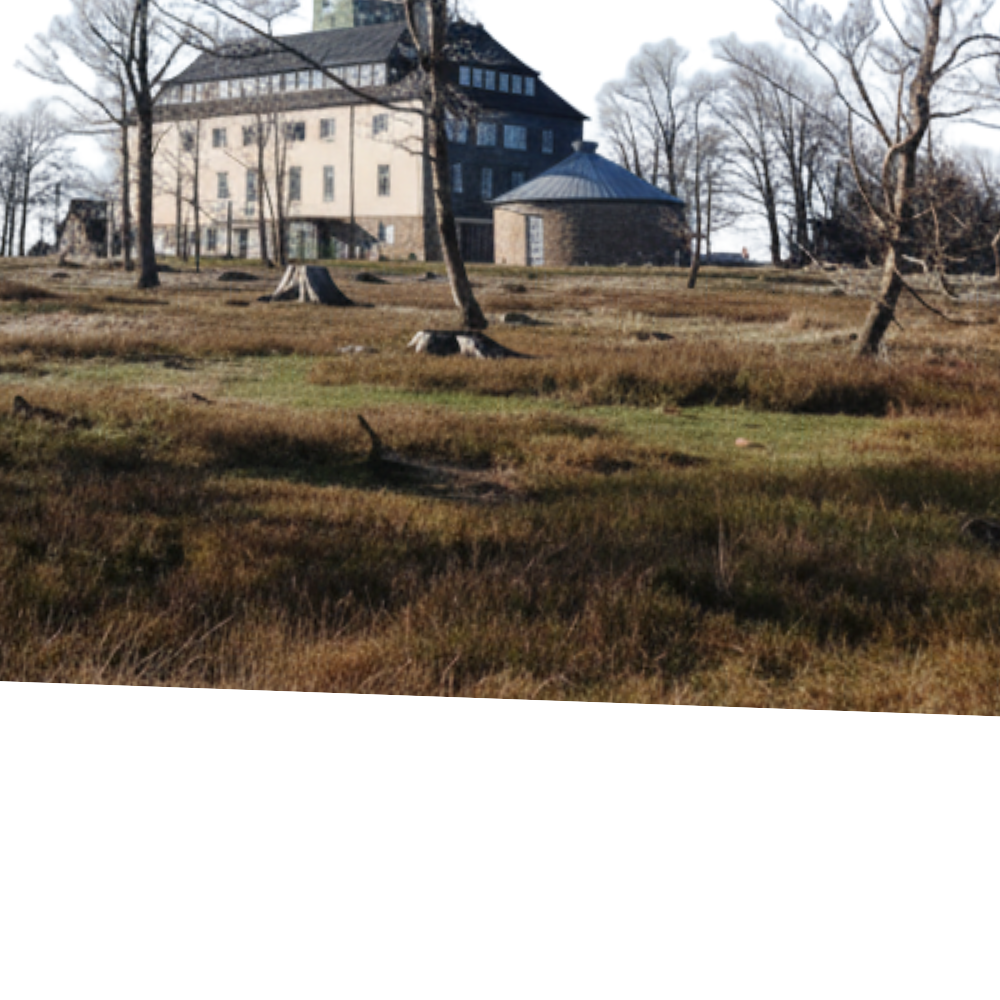 Beer DELUXE auf Ständer 25 cm – Rosa Schaumstoff mit Blumenstrauß – in luxuriöser Geschenkverpackung 25 cm