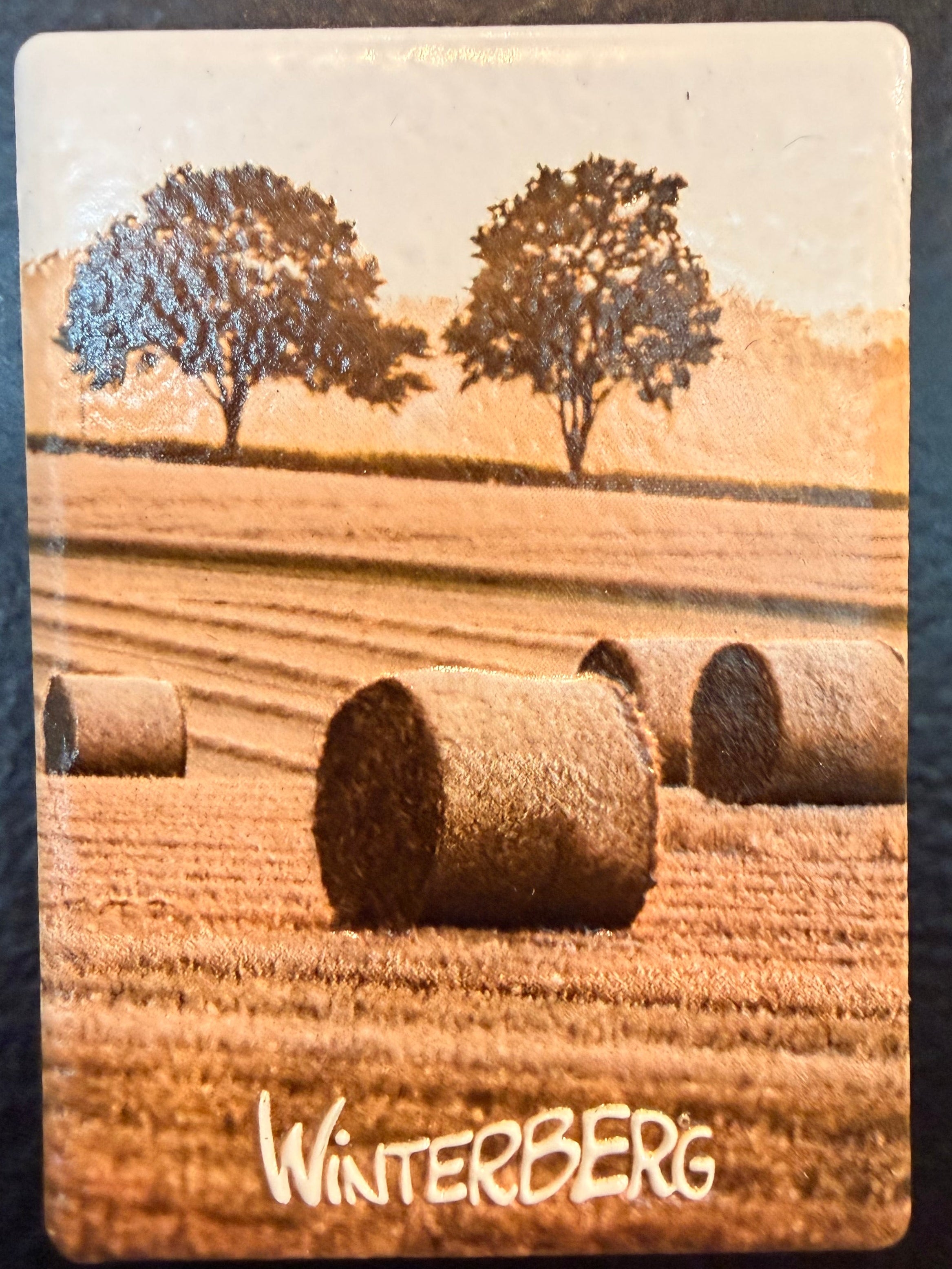 Magnet Tile (50x70mm)