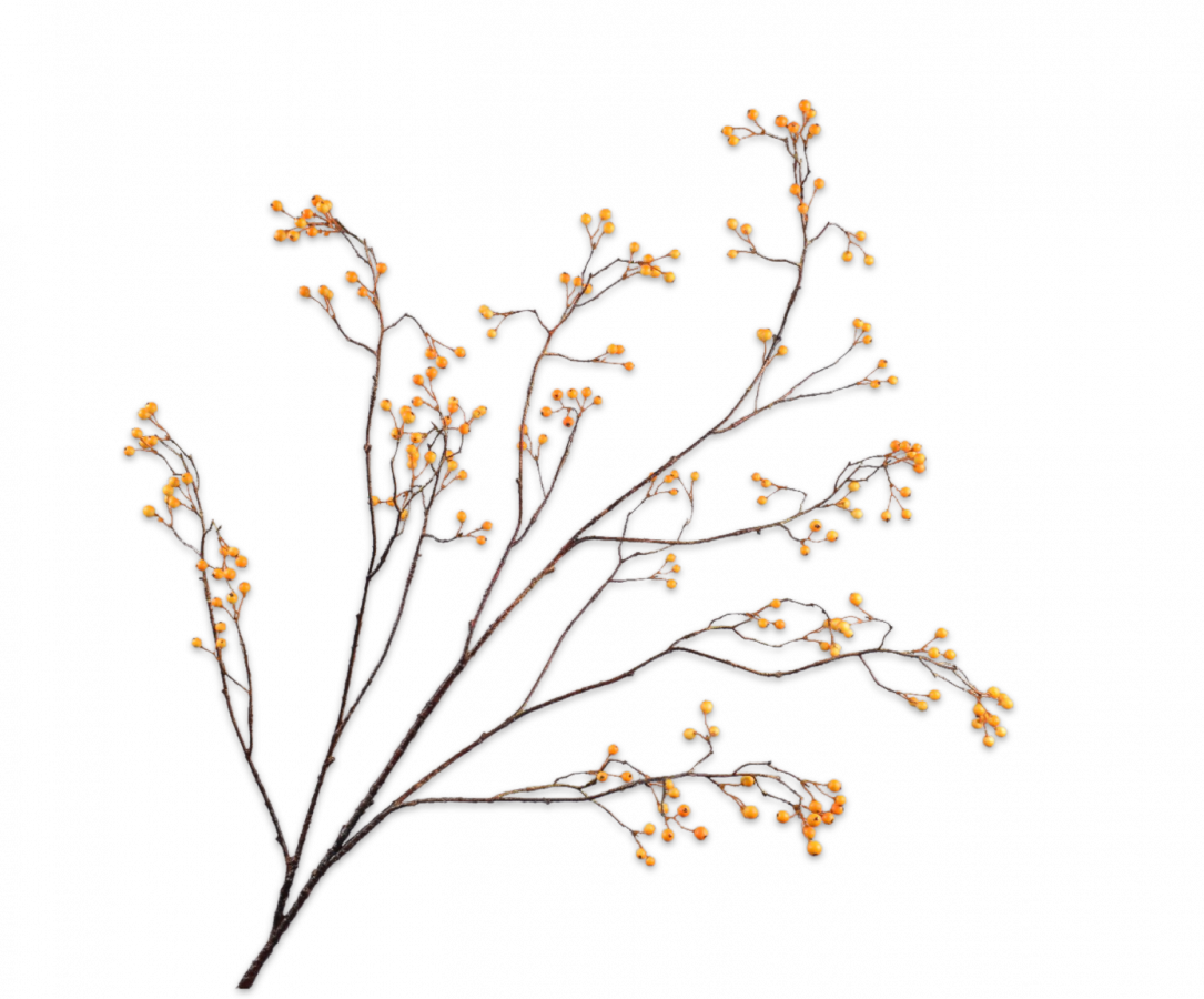 BEEREN ZWEIG GRÜN 136 CM