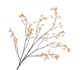 BERRY BRANCH GREEN 136 CM