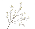 BERRY BRANCH ORANGE 133 CM