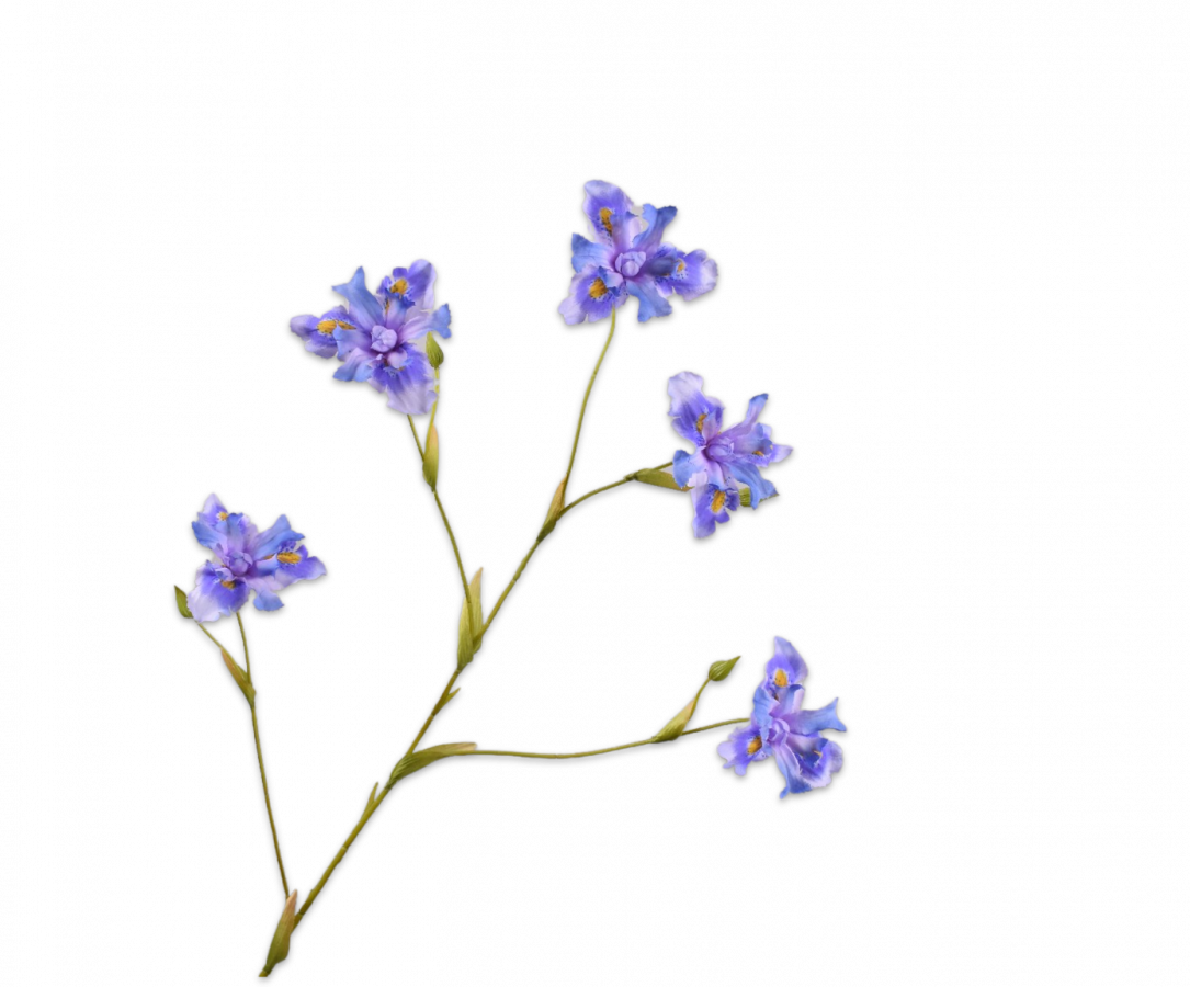IRIS SPRAY LAVENDEL 86 cm