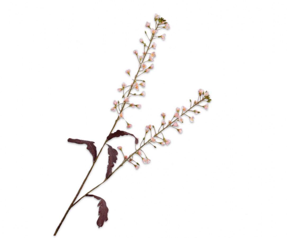 PRIMULA TAK ROZE 85 CM