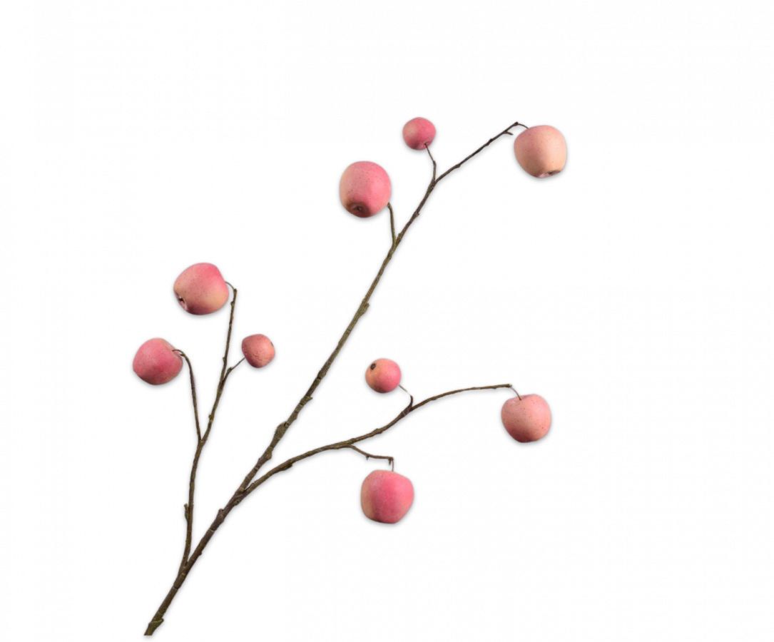 APFEL ZWEIG PFIRSICH 123 CM