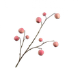 APPLE BRANCH PEACH 123 CM