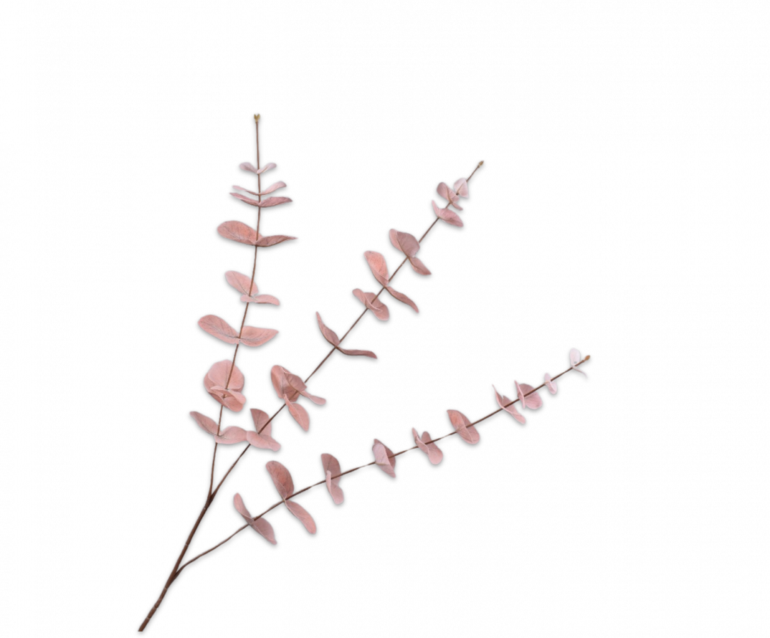 EUKALYPTUS ZWEIG ROSA 99 CM