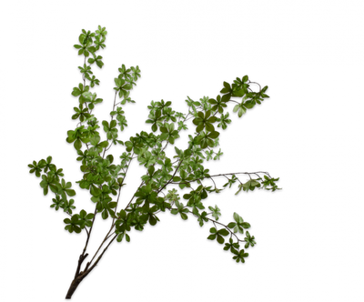 LEAF SPRAY BUSH GREEN 107 cm