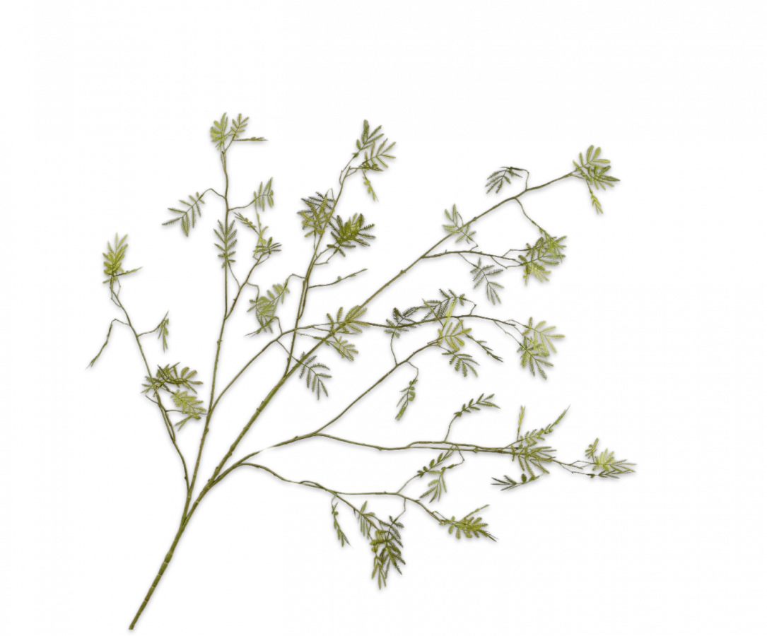 MIMOSA SPRAY GREEN 132 cm