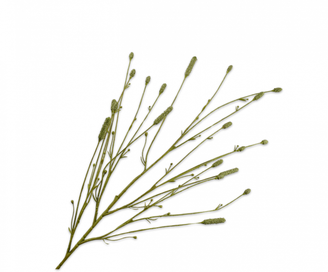 PIMPERNEL SPRAY GREEN 116 cm