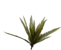VARENSTRUIK GROEN 56 cm