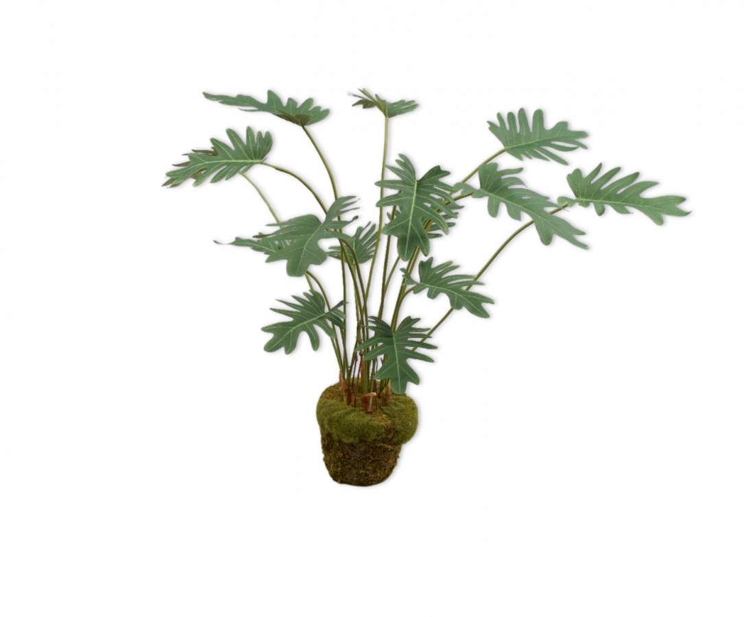 Sil-ka - PHILODENDRON GROEN 56 cm