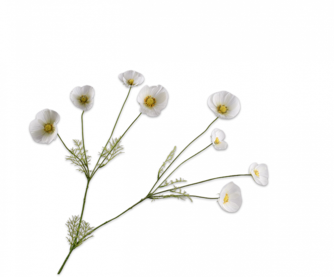 COSMOS SPRAY WHITE 104 cm