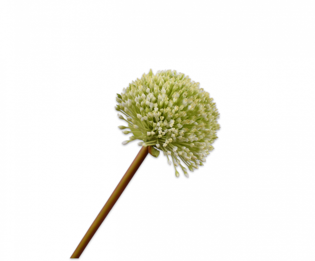 Sil-ka - ALLIUM STEM GROEN 78 cm