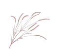GRAS TAK ROZE LICHT 105 CM