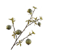 Groene granaatappeltak 97 cm