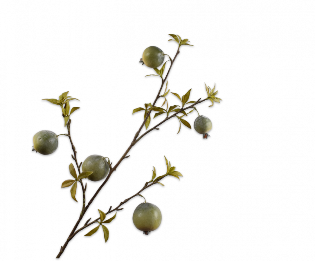 Groene granaatappeltak 97 cm