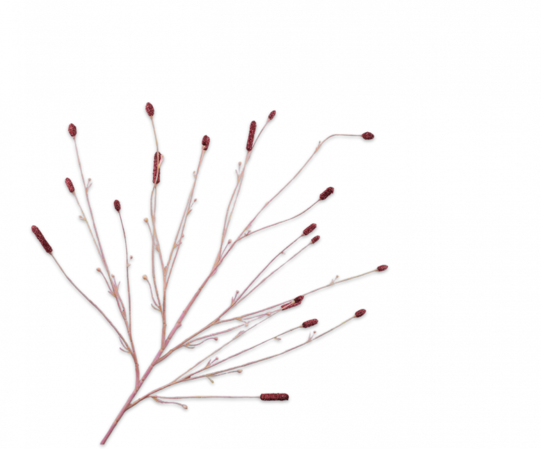 PIMPERNEL ZWEIG ROT 116 CM