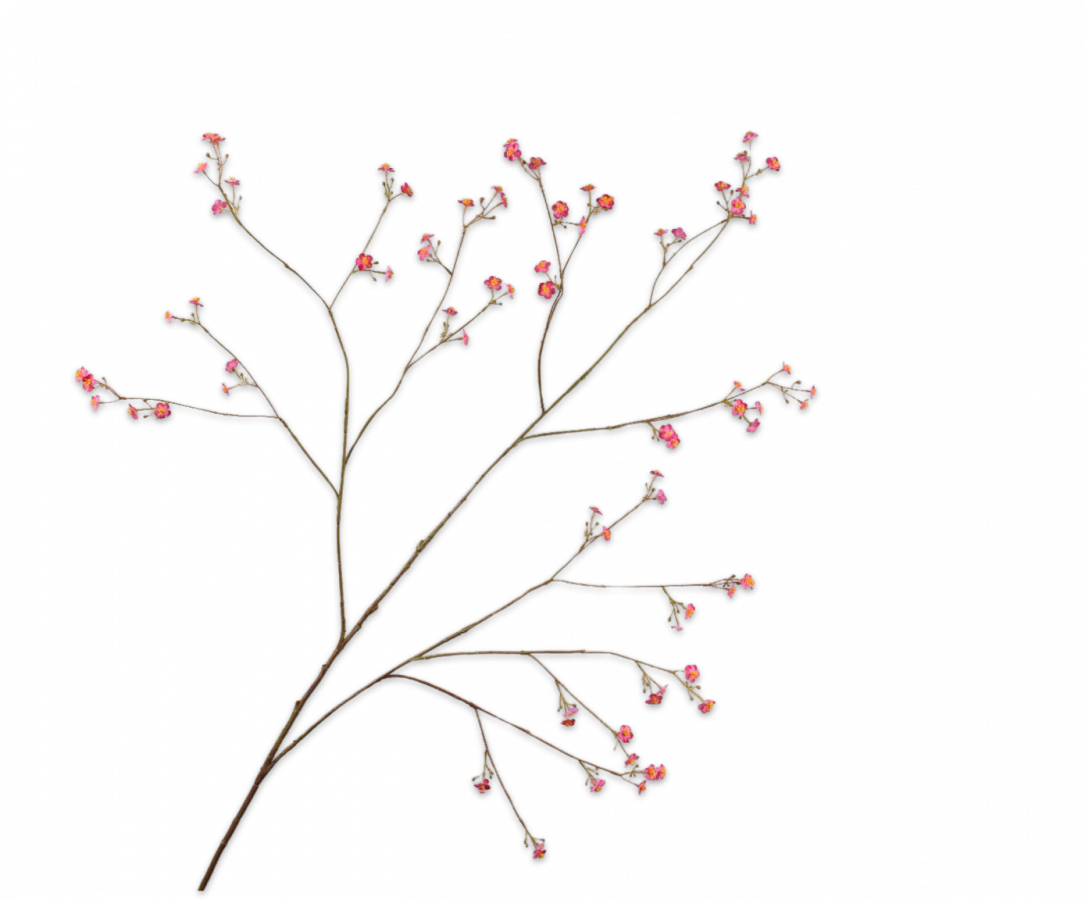 VERGISSMEINNIC ZWEIG SCHÖNHEIT 132 CM