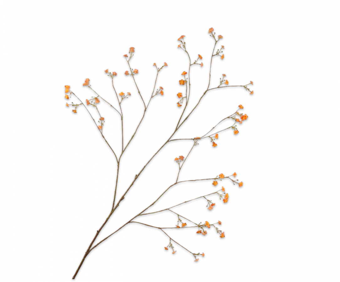 VERGISSMEINNIC ZWEIG ORANGE 132 CM