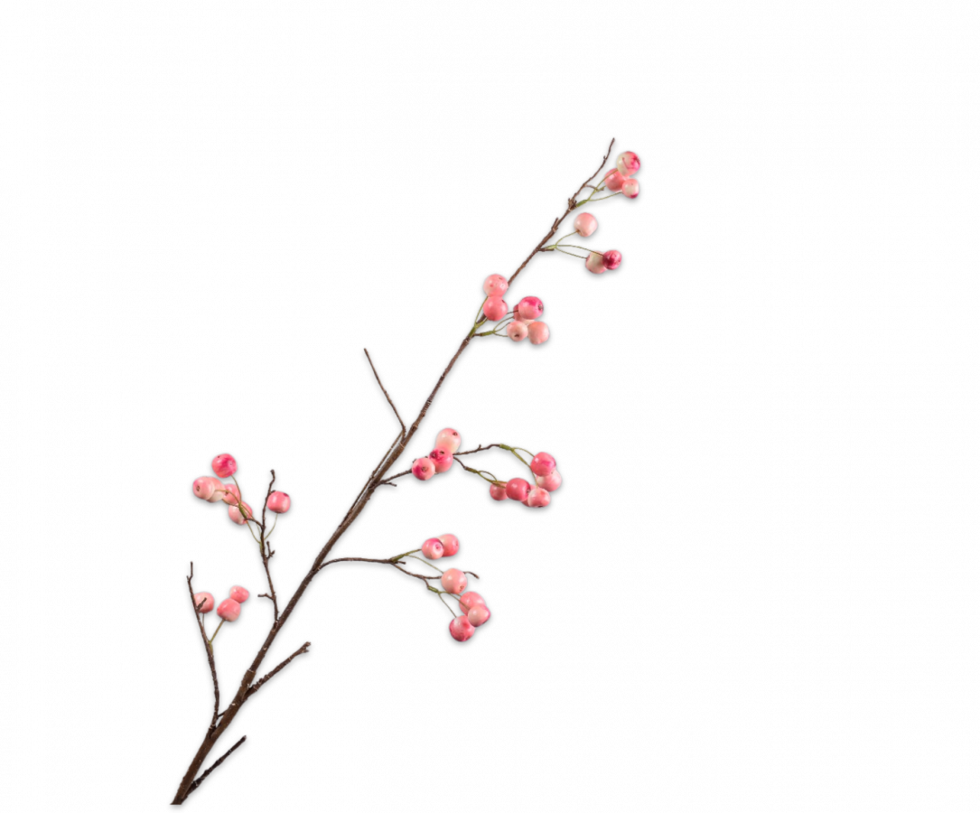 APFEL ZWEIG ROSA 99 CM