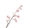 APPLE BRANCH PINK 99 CM