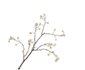 BERRY BRANCH CREAM 88 CM