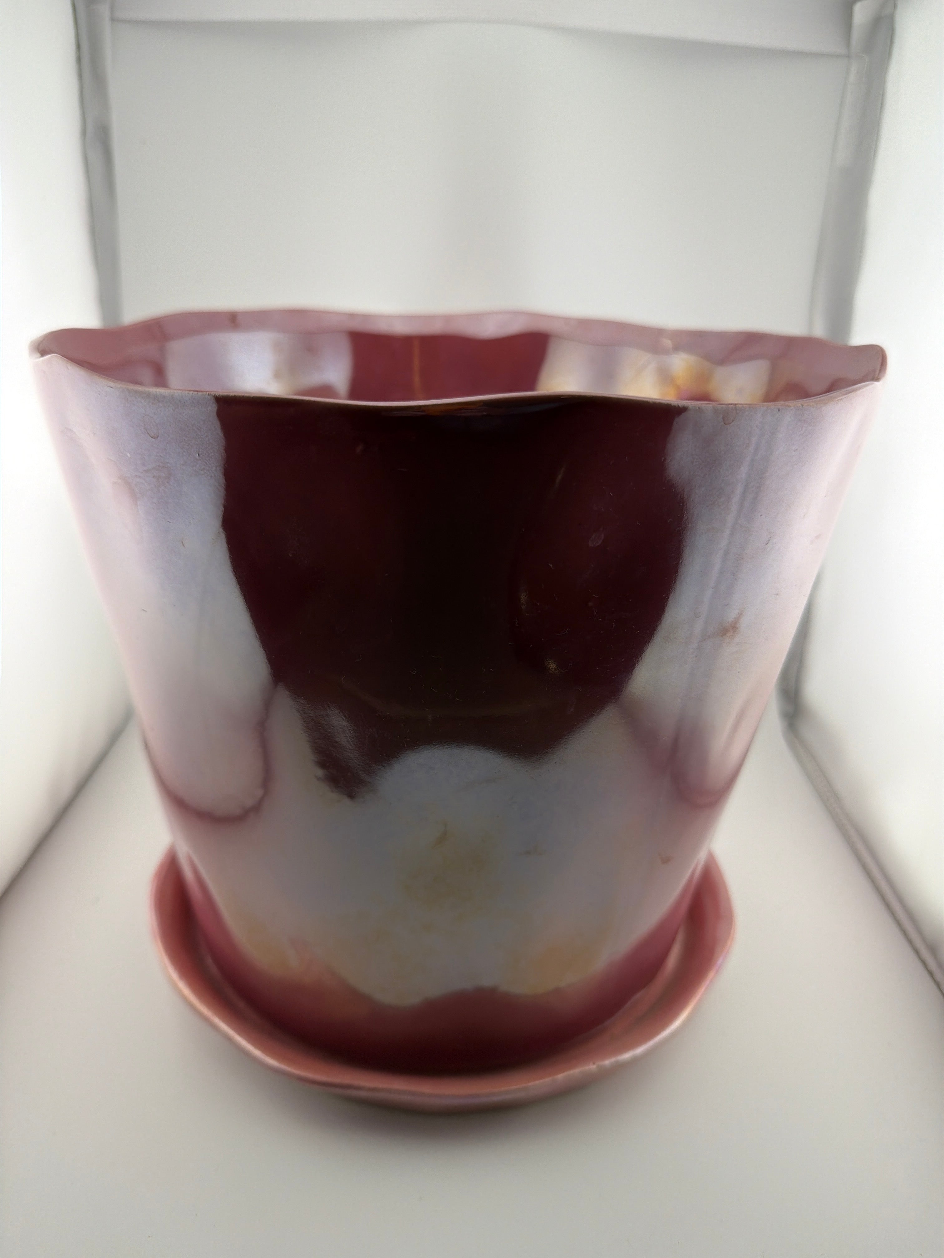 Pot