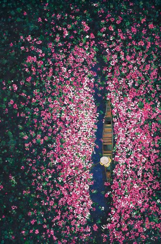 Acrylgemälde Float 80x120 356624