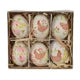 Egg Chicken Egg White