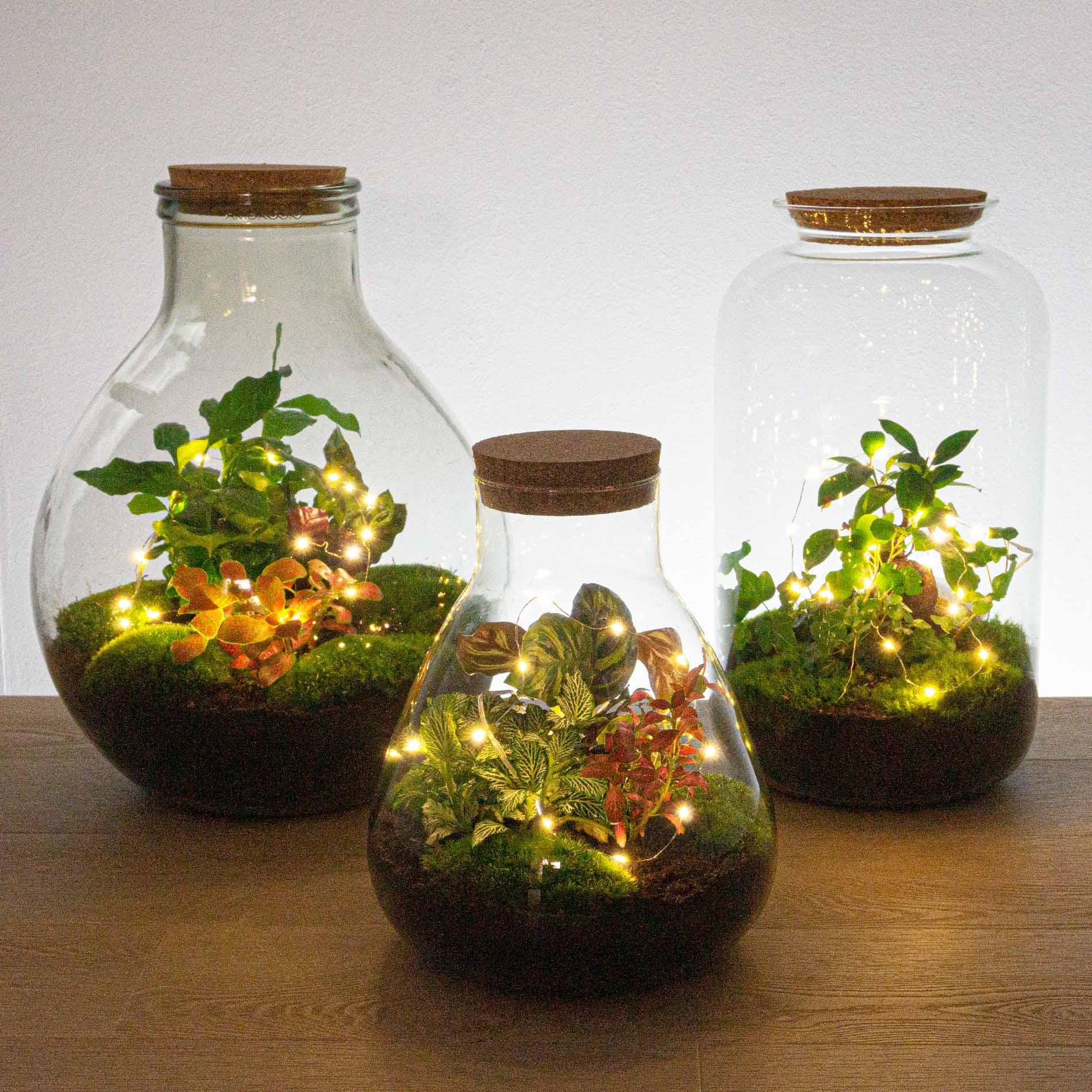 Drahtlichterkette auf Batterien - 1 meter - Warm weiß - 20 Ledleuchten - Weihnachten