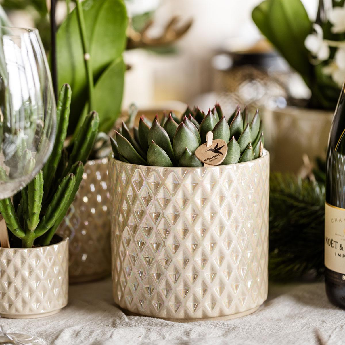 Kolibri Home | Diamond Pearl Dekotopf - Travertine - Ø9cm