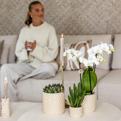 Kolibri Home | Diamond Pearl Dekotopf - Travertine - Ø9cm