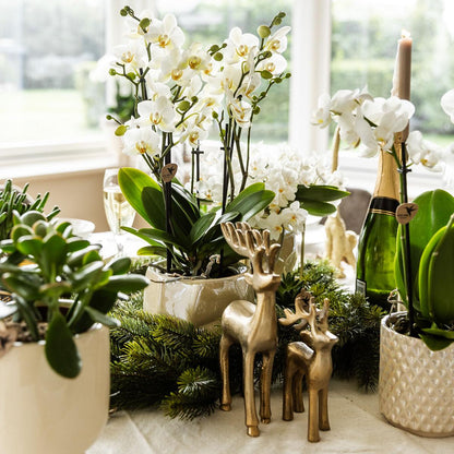 Kolibri Home | Diamond Pearl Dekotopf - Travertine - Ø9cm